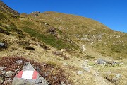 55 Si vede sul vesante sud dello Zuc di Valbona la traccia che faremo per lo Zuc di Cam